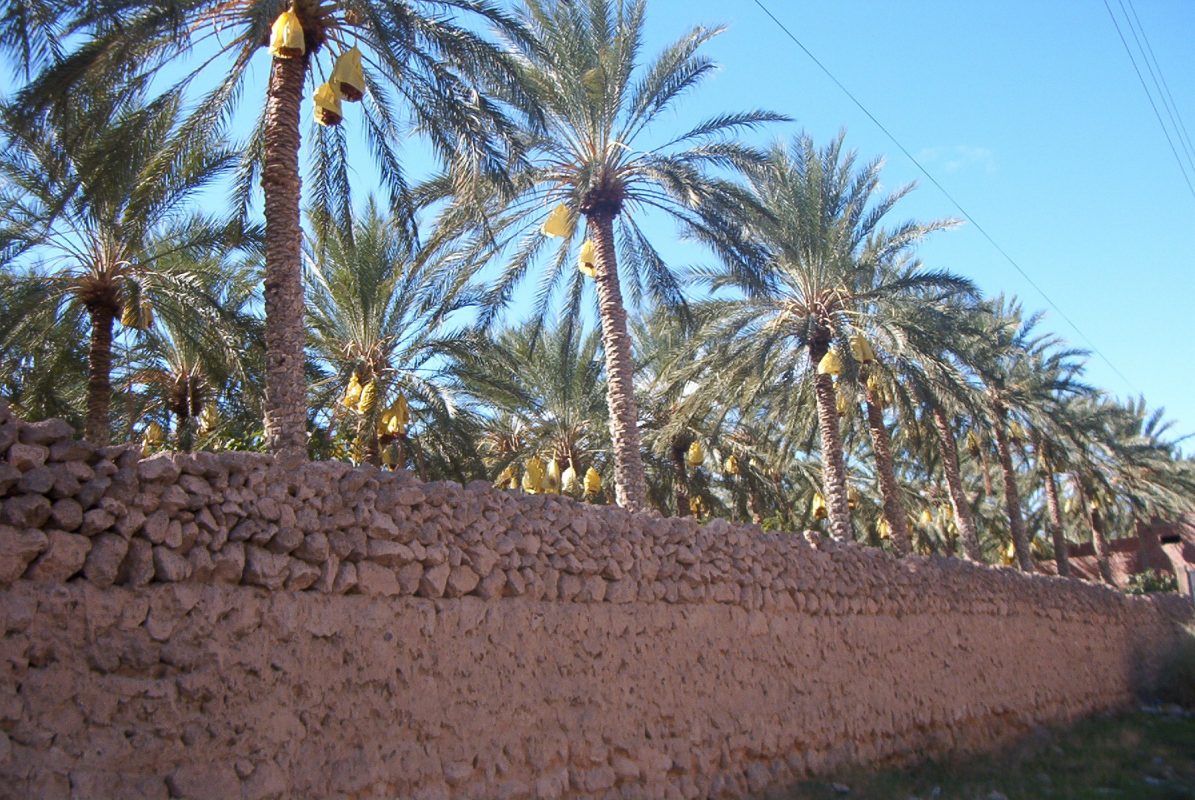 Biskra
