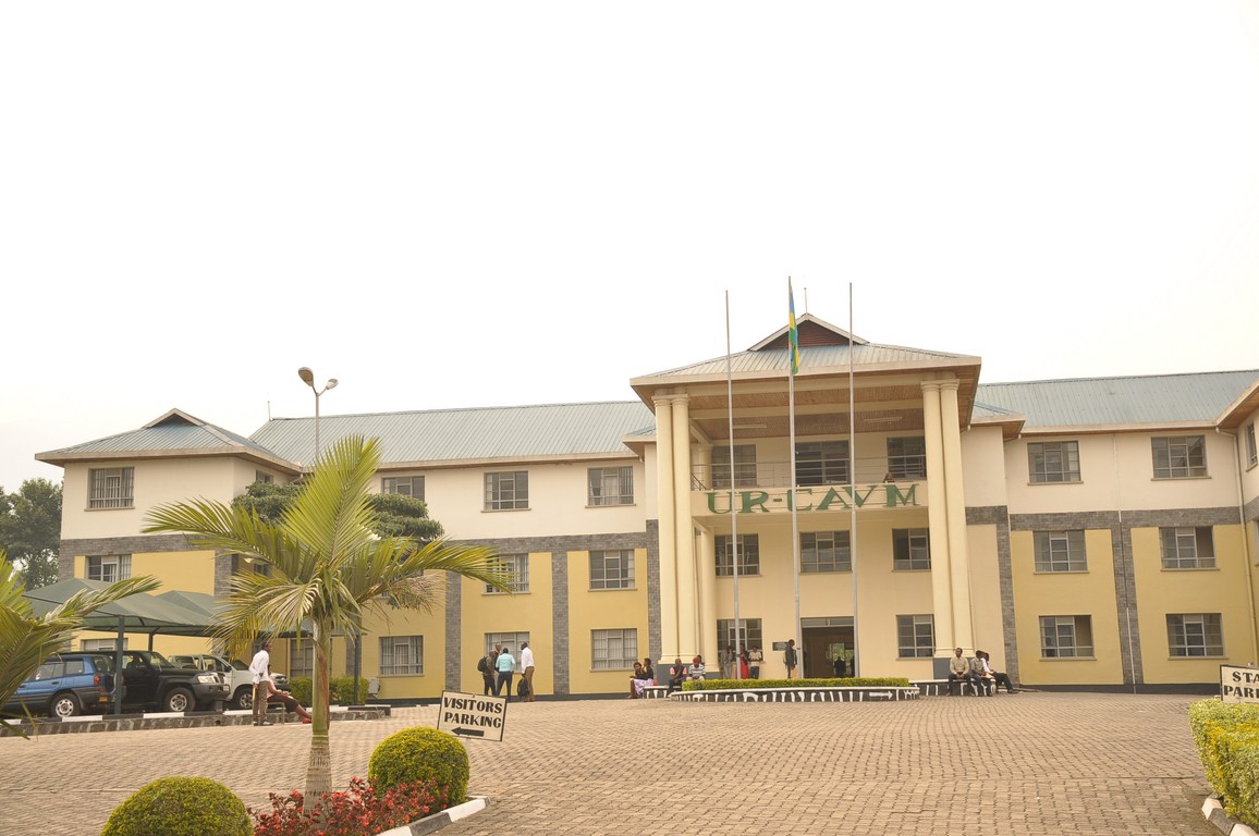 Busogo