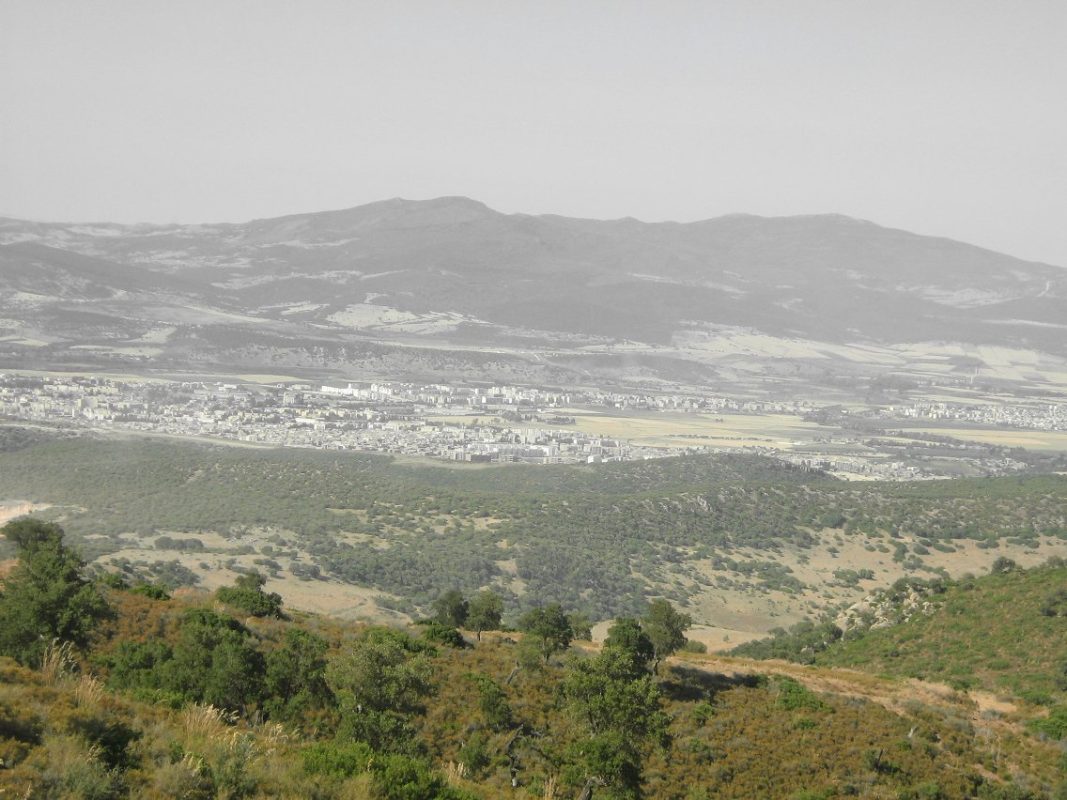 Helma