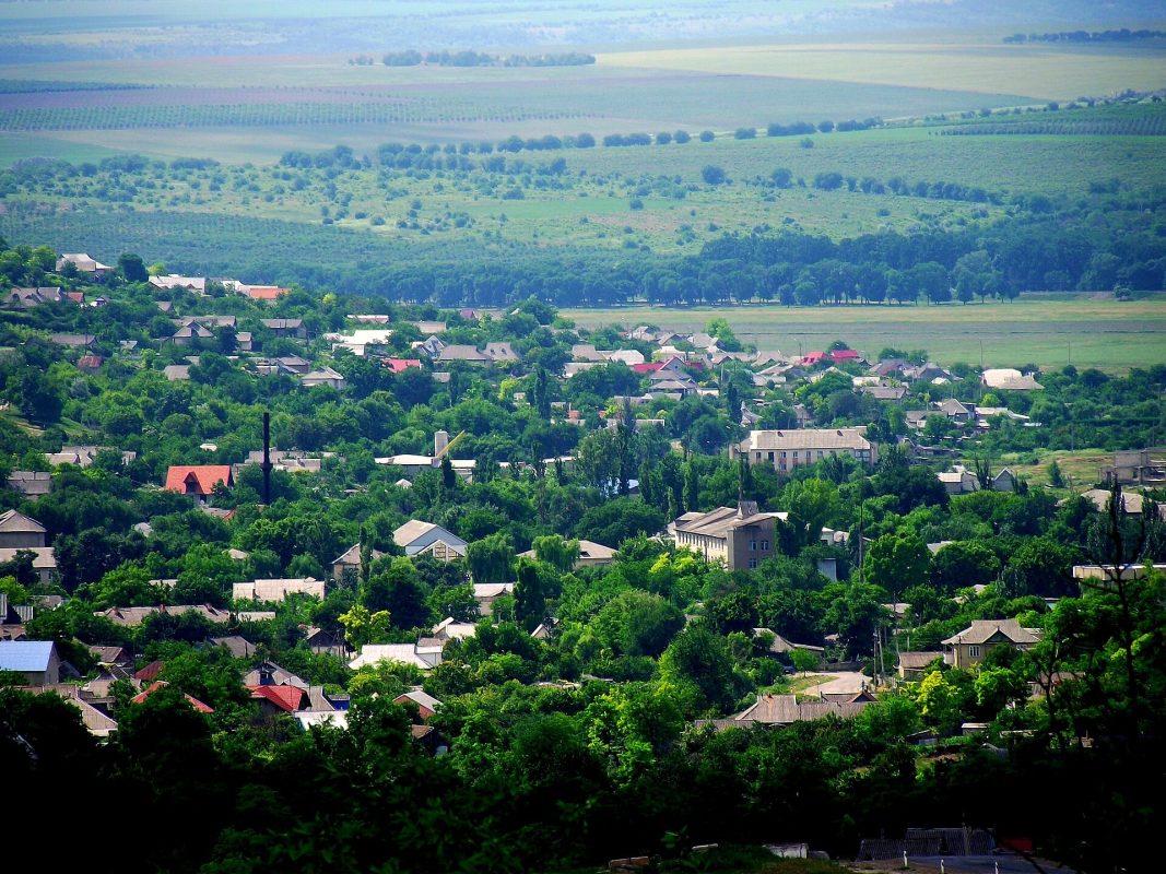 Căuşeni