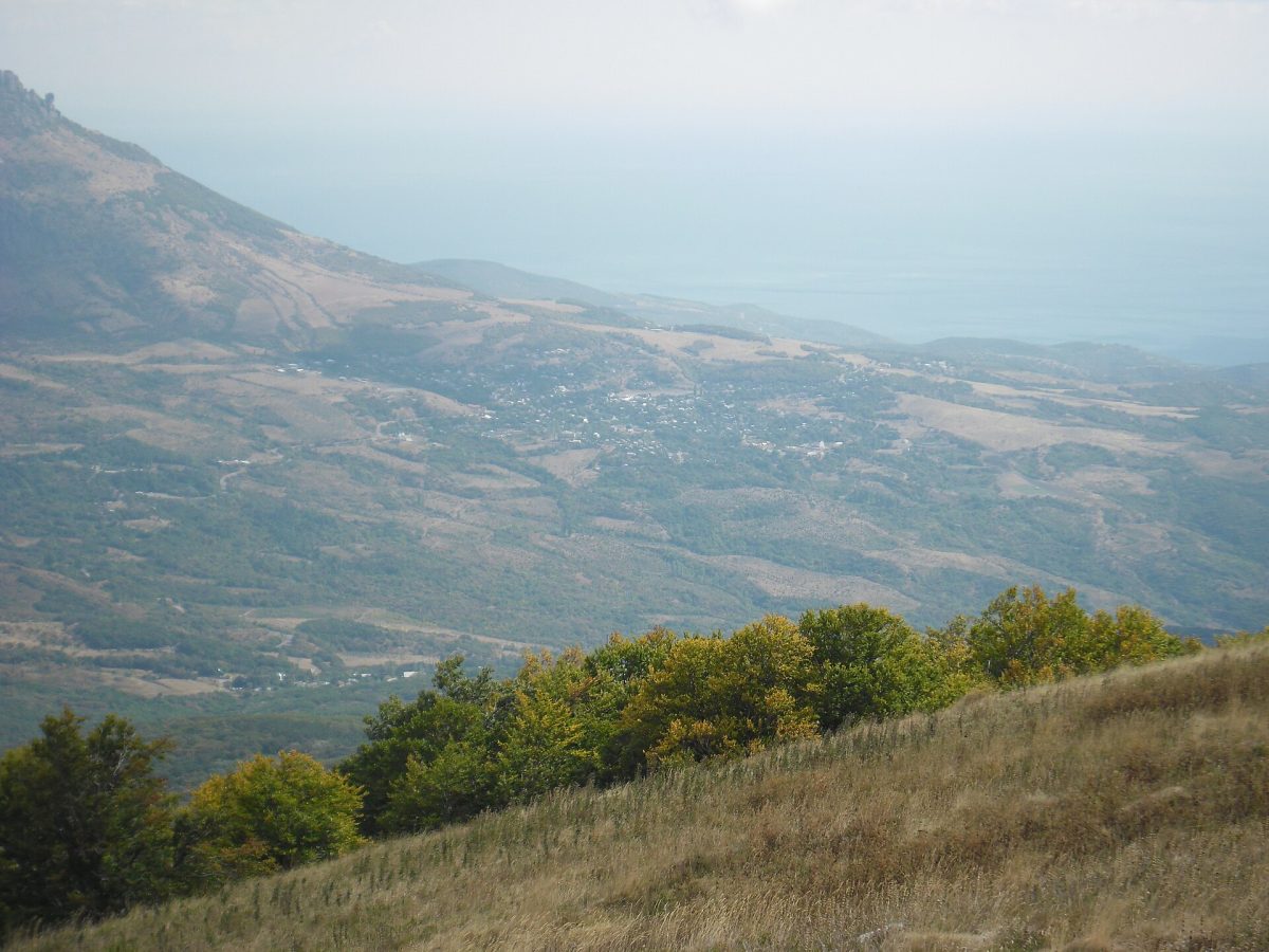 Лучистое