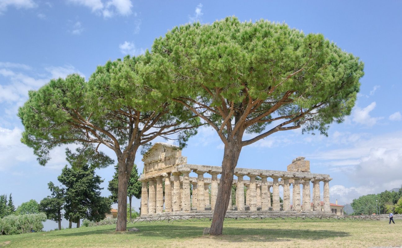 Paestum
