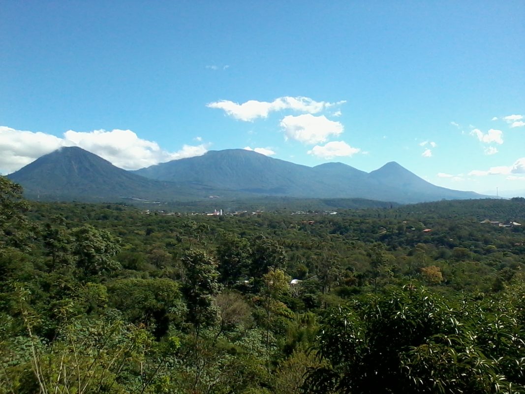 Sonsonate
