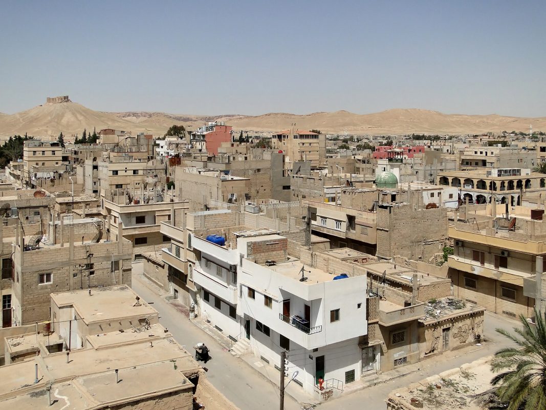 Palmyra