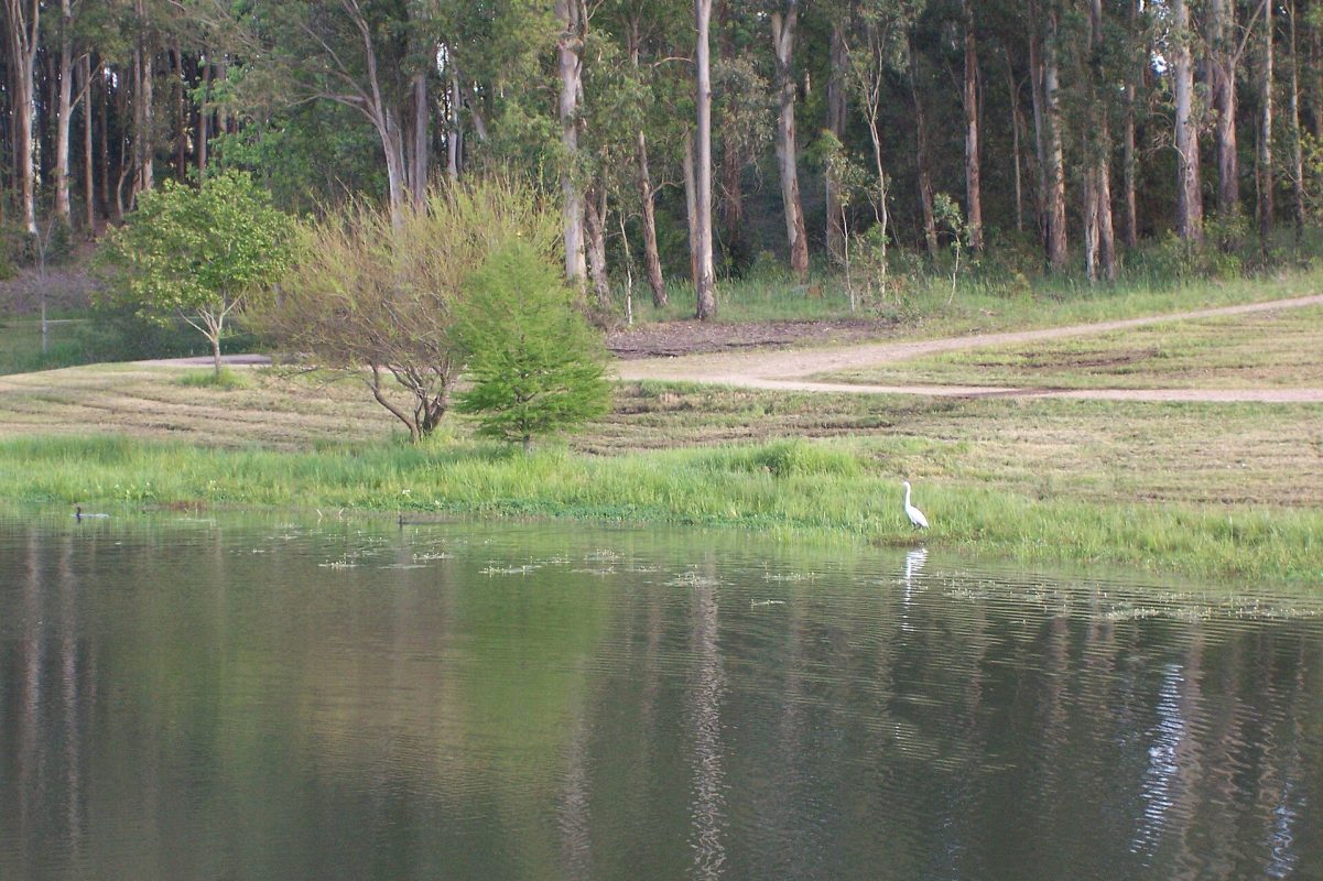 Tacuarembó