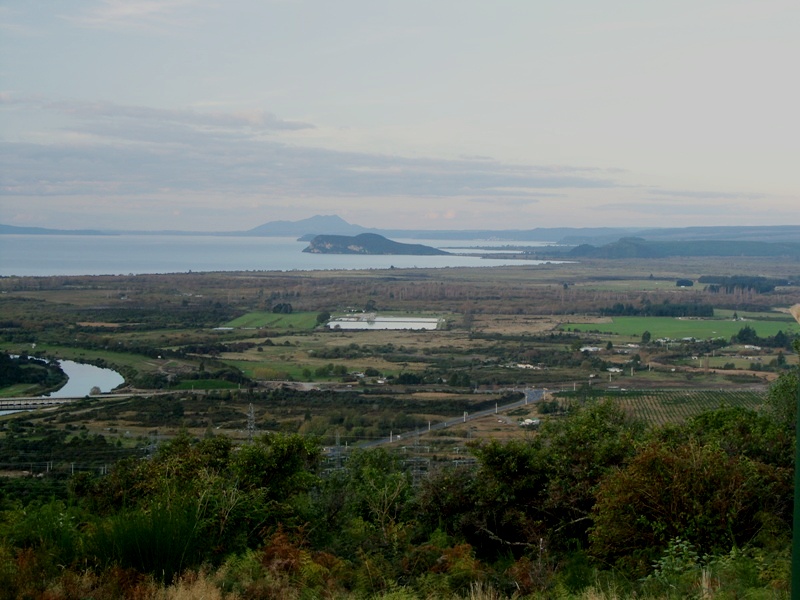Turangy