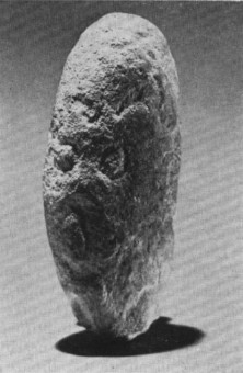 Sangcharak