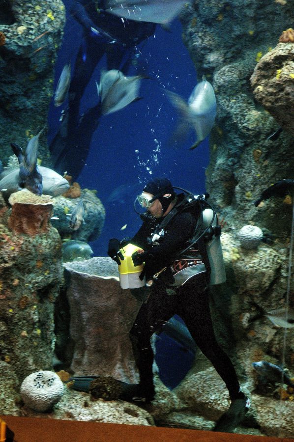 South Carolina Aquarium