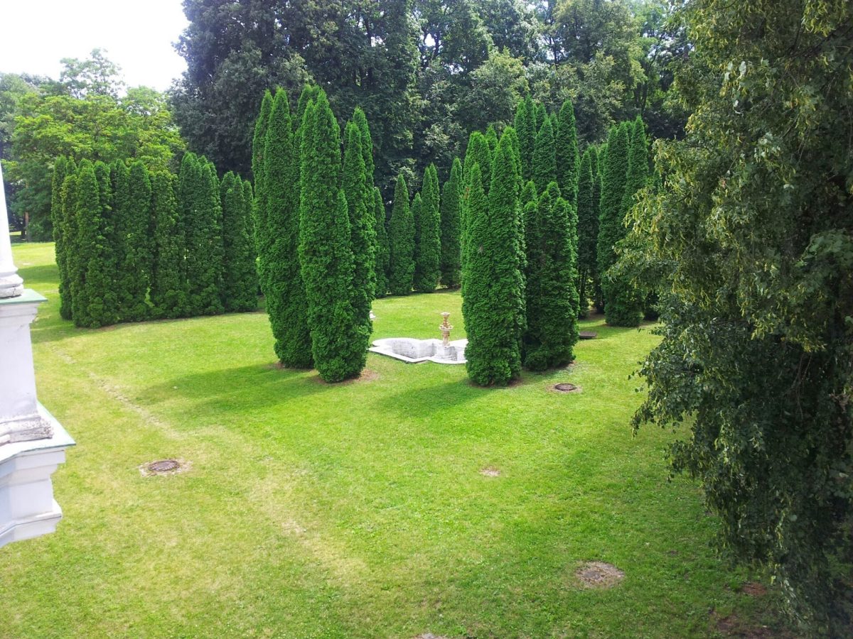 Linden Alley in Kachanivka Park