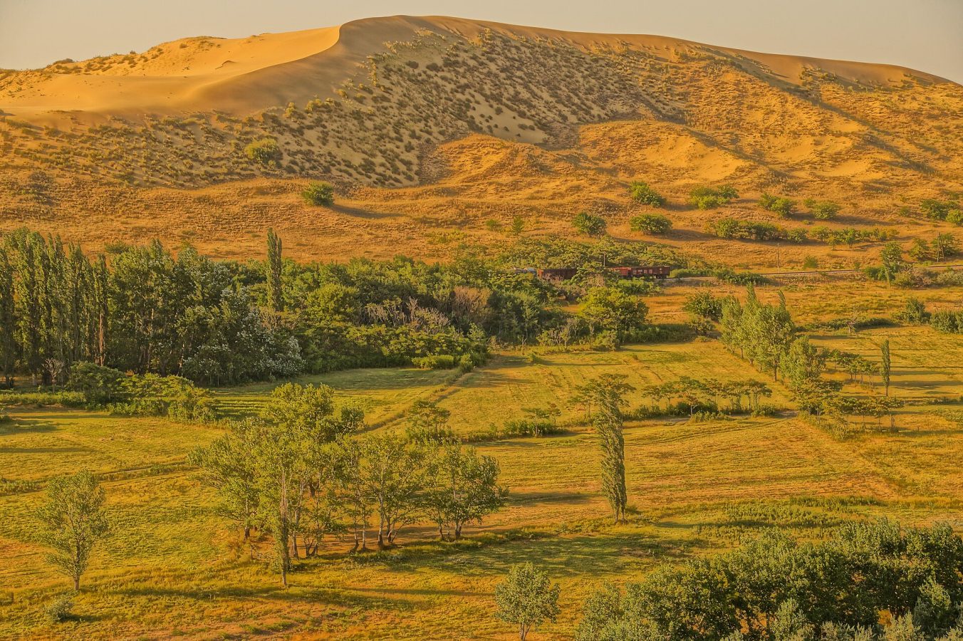 Sarykum Dune