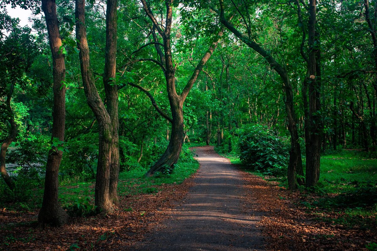 Gazipur Sadar