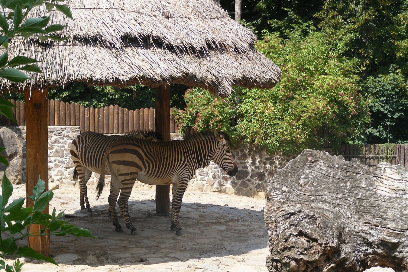 Bojnice Zoo