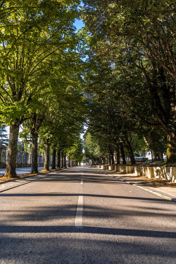 Coimbra Botanical Garden