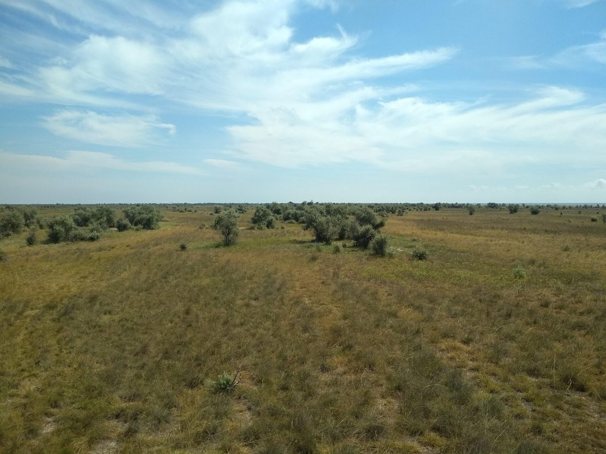 Scadovsk Central Embankment