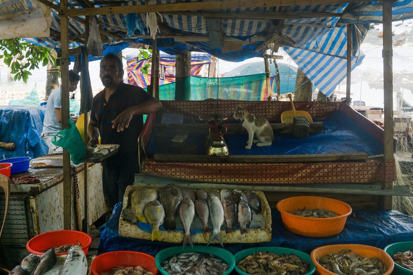 Fort Kochi