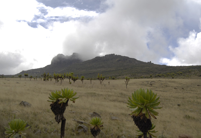 Mount Elgon