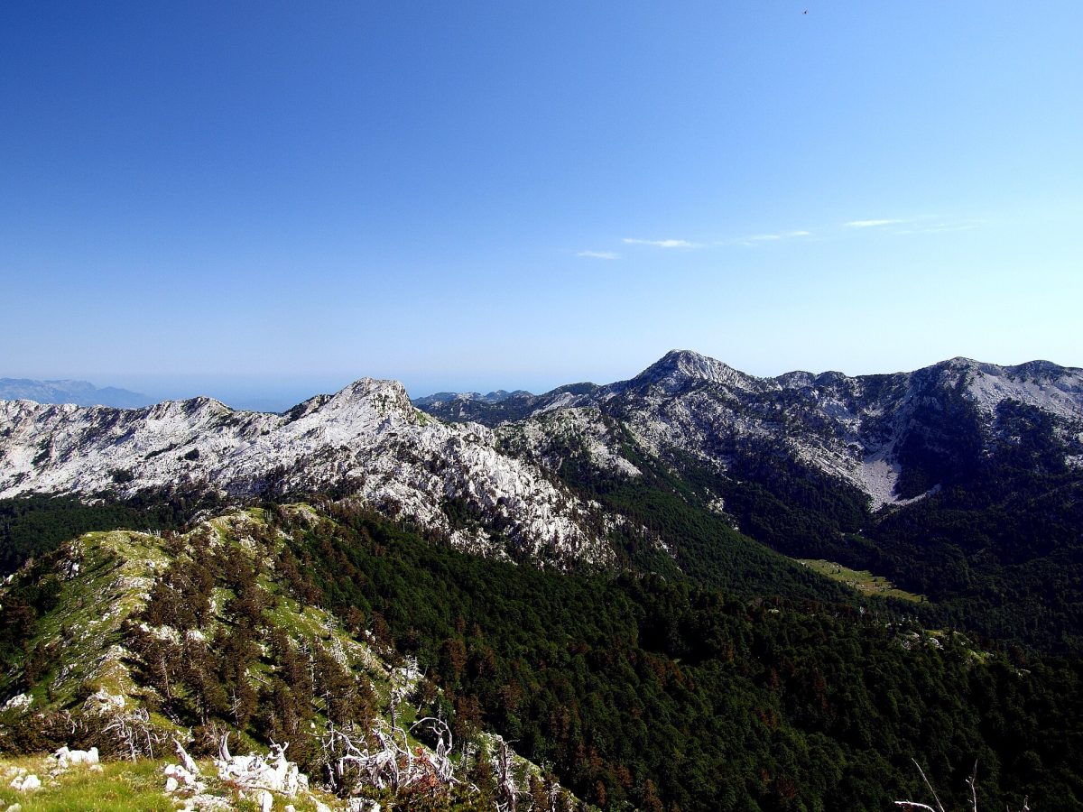 Mount Orijen