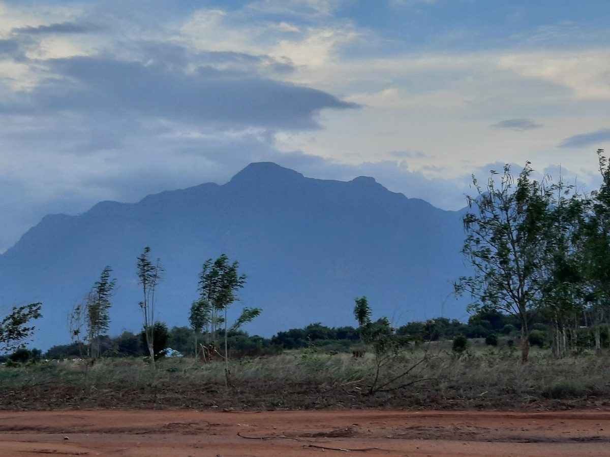 Uluguru Mountains
