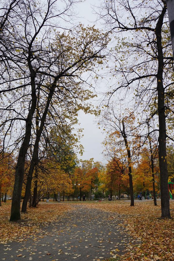 Governor's Park
