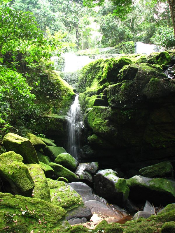 Makoku