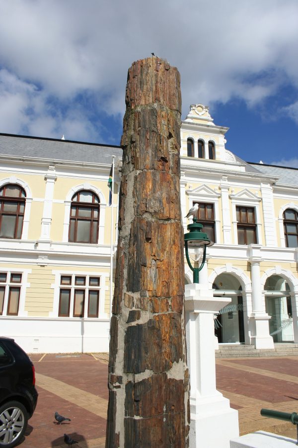 Изико