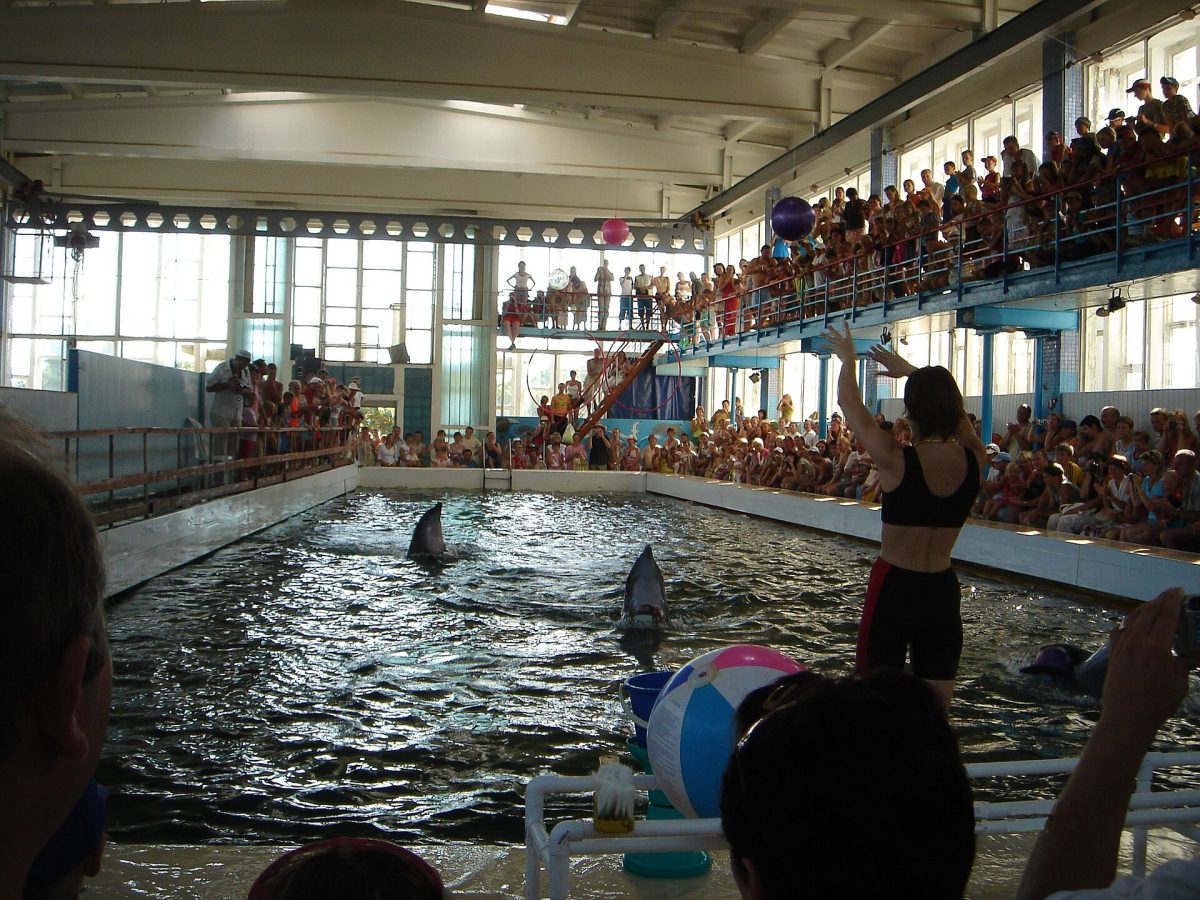 Karadag Dolphinarium