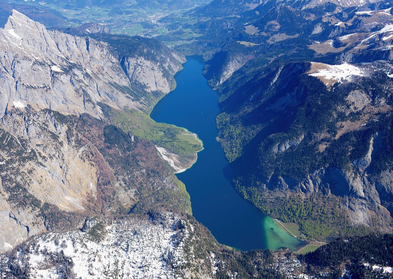 Kingsee