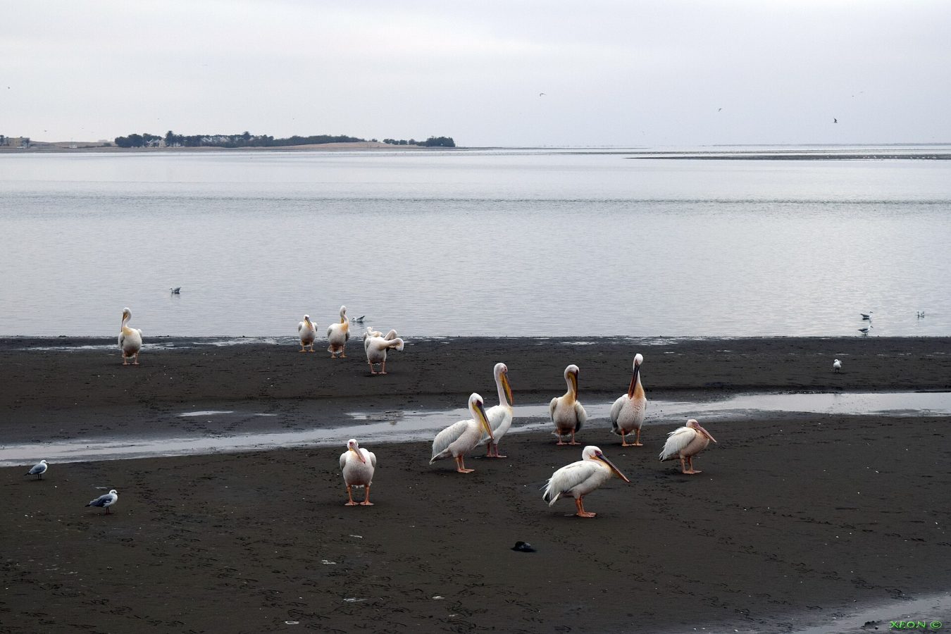 Walvis Bay Lagoon