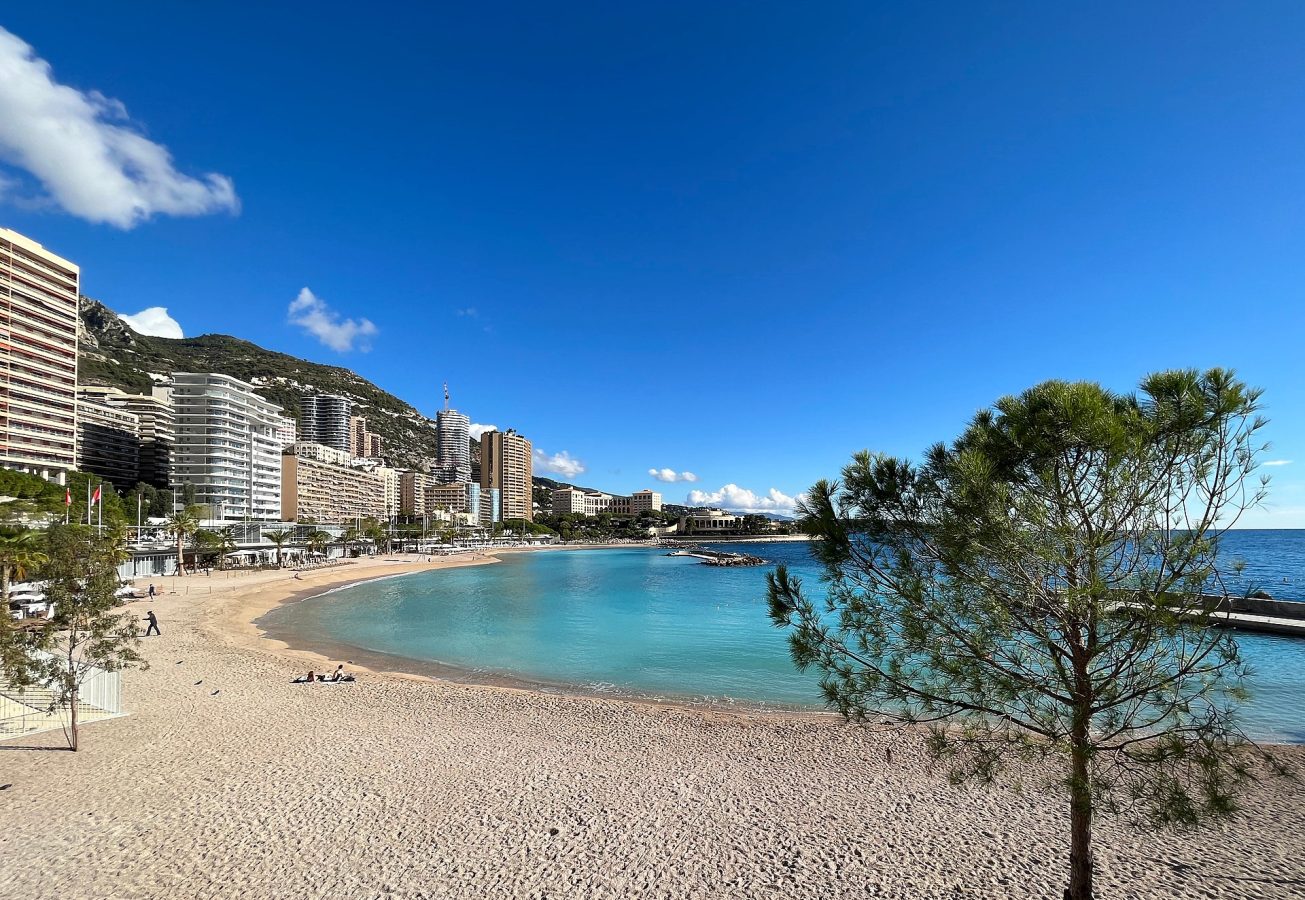 Larvotto Beach