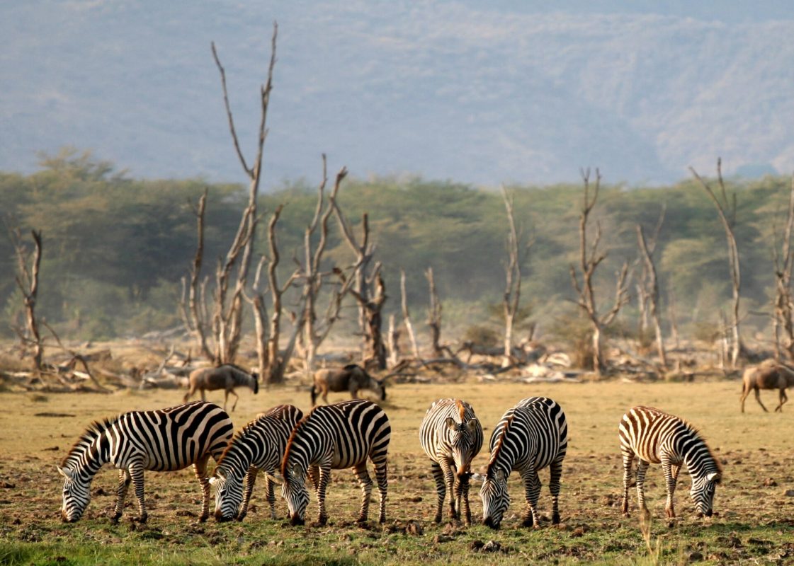 Mbulumbulu Plateau