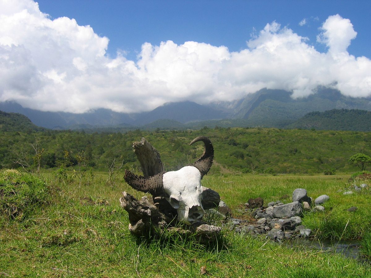 Meru