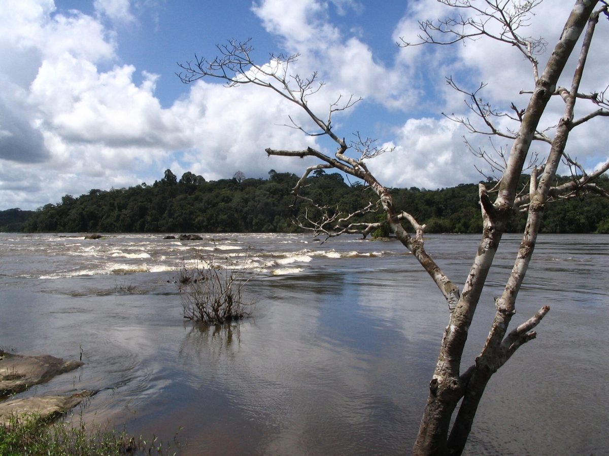 Tumucumaque Mountains National Park
