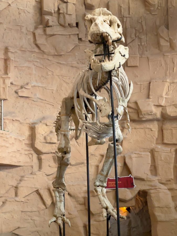 Gobi Museum