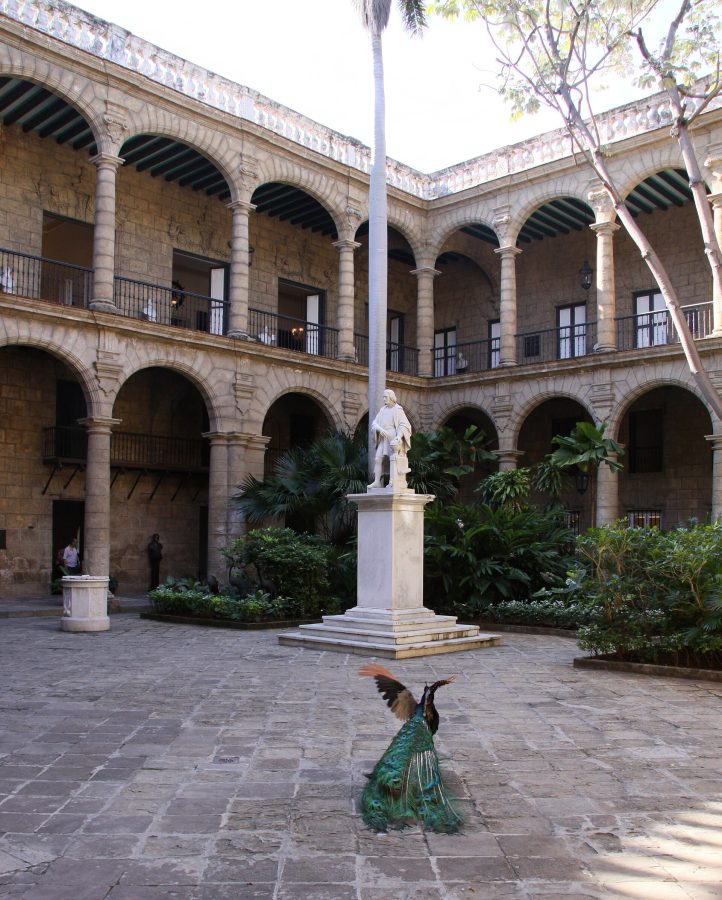 Havana City Museum