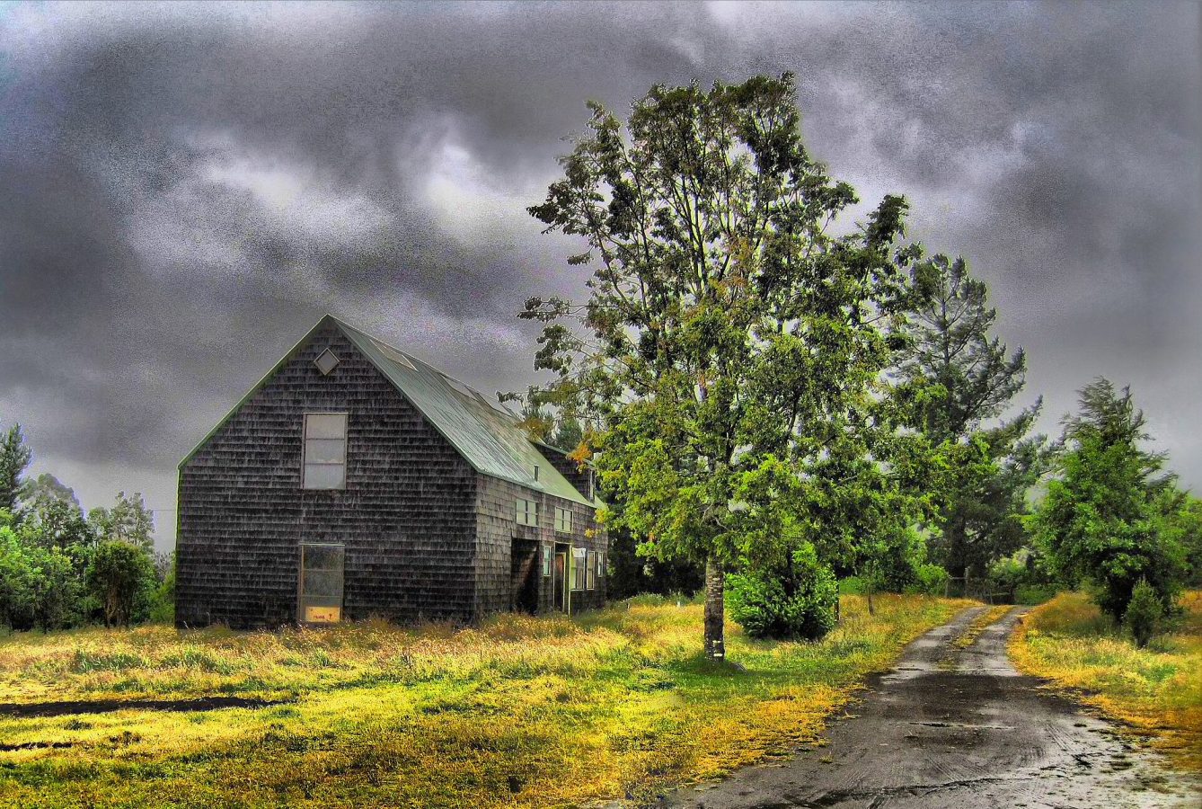 Chiloé Museum of Modern Art