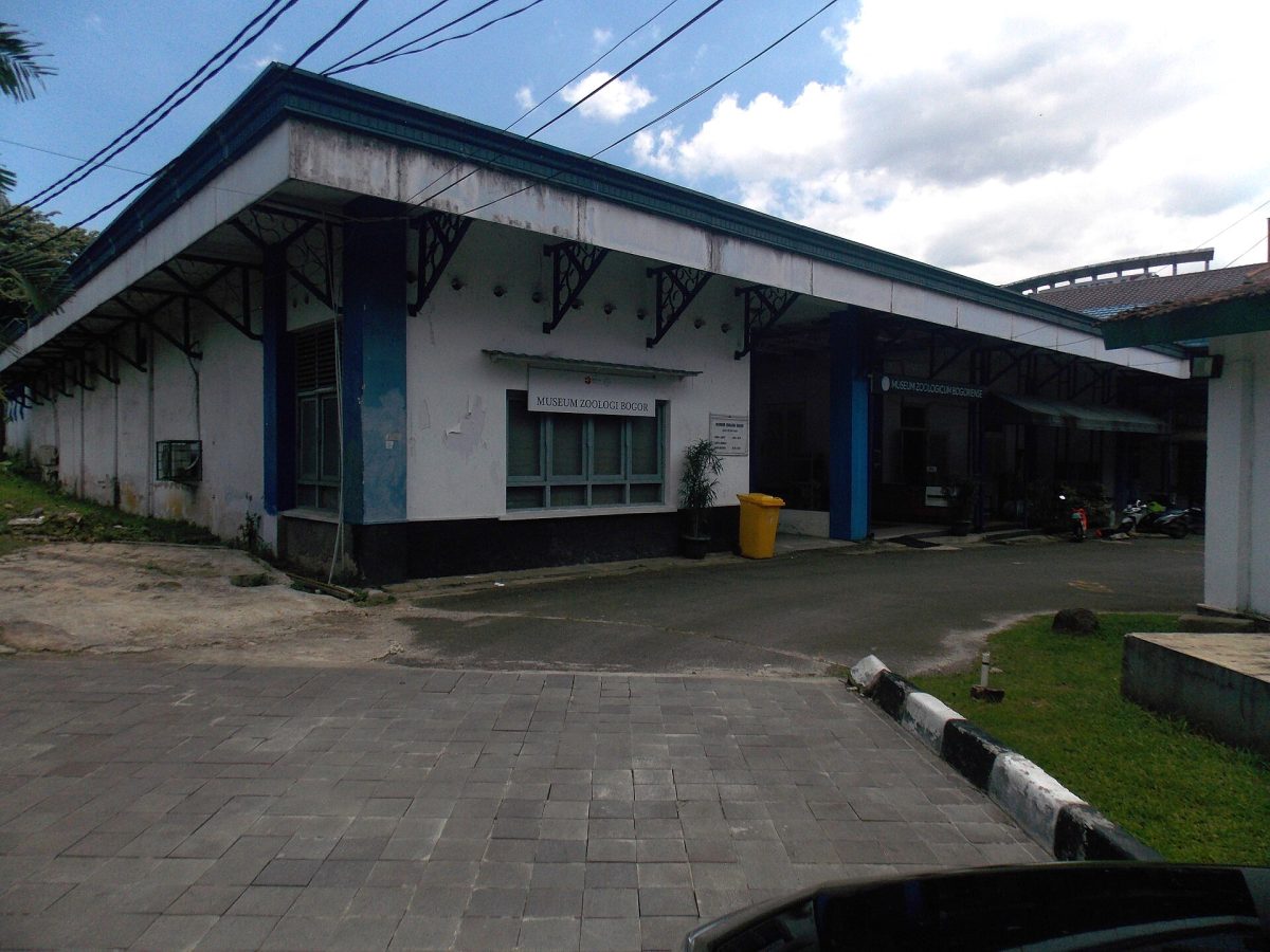 Bogor Zoology Museum