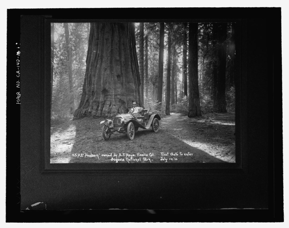 Sequoia National Park