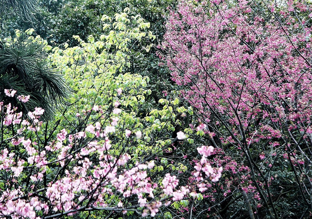Yangmingshan Lake