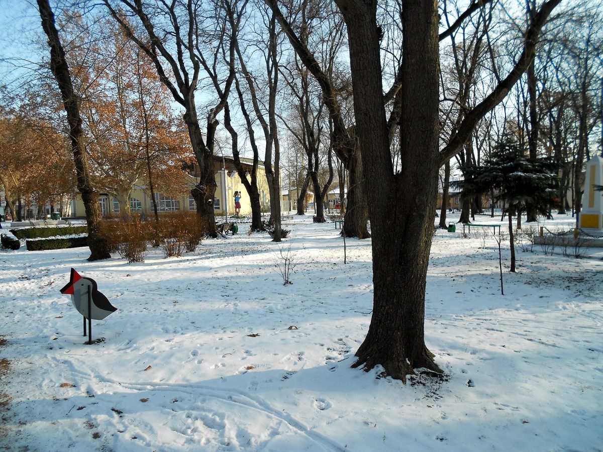 Andriesh Park
