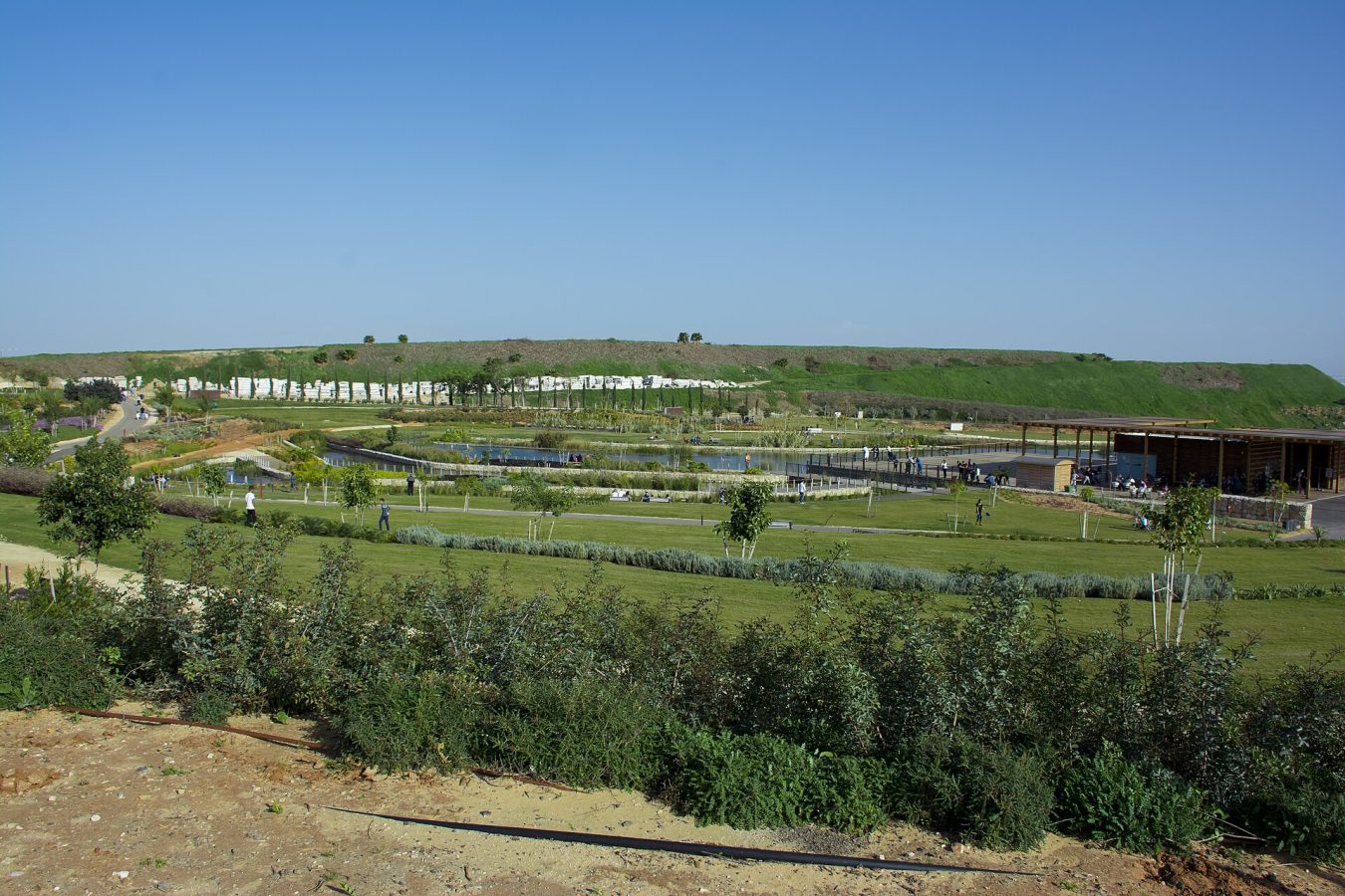 Парк Ариэля Шарона