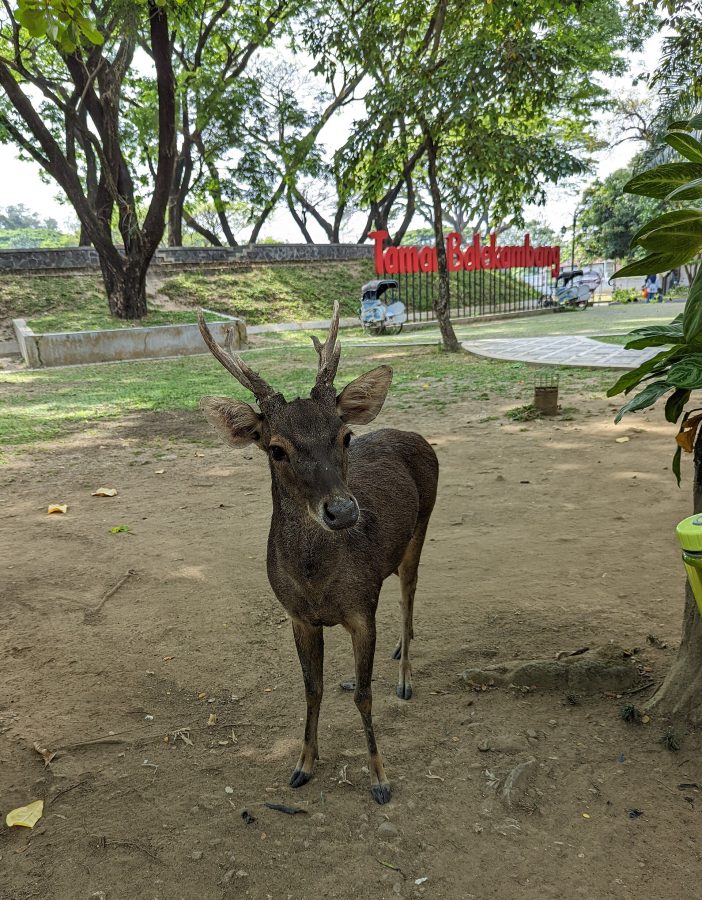Balekambang Park