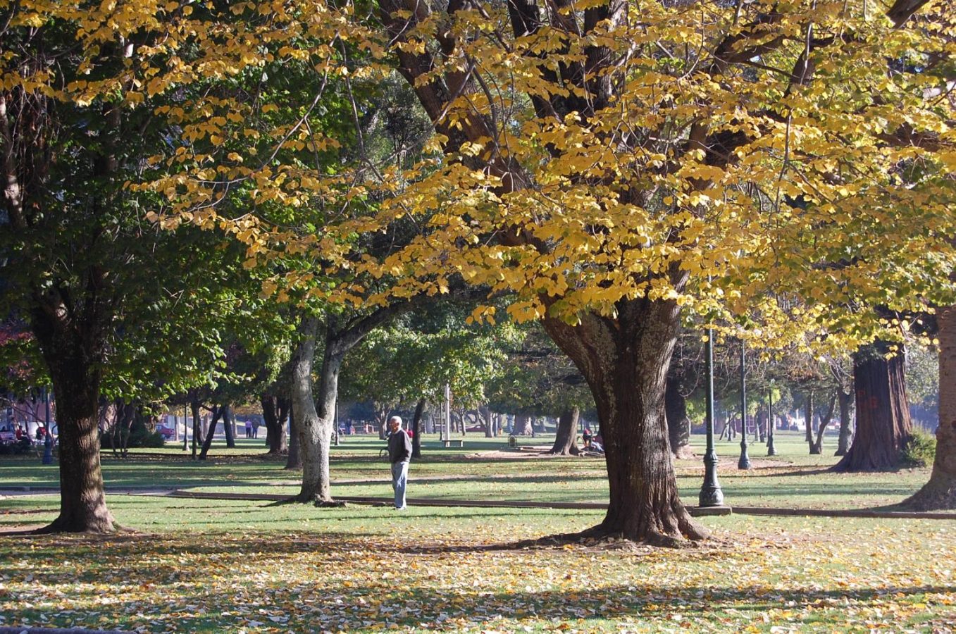 Ecuador Park