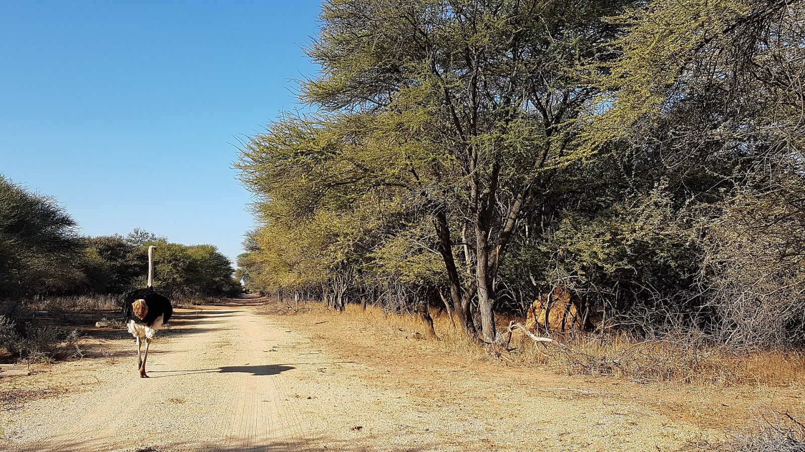Gaborone Game Reserve