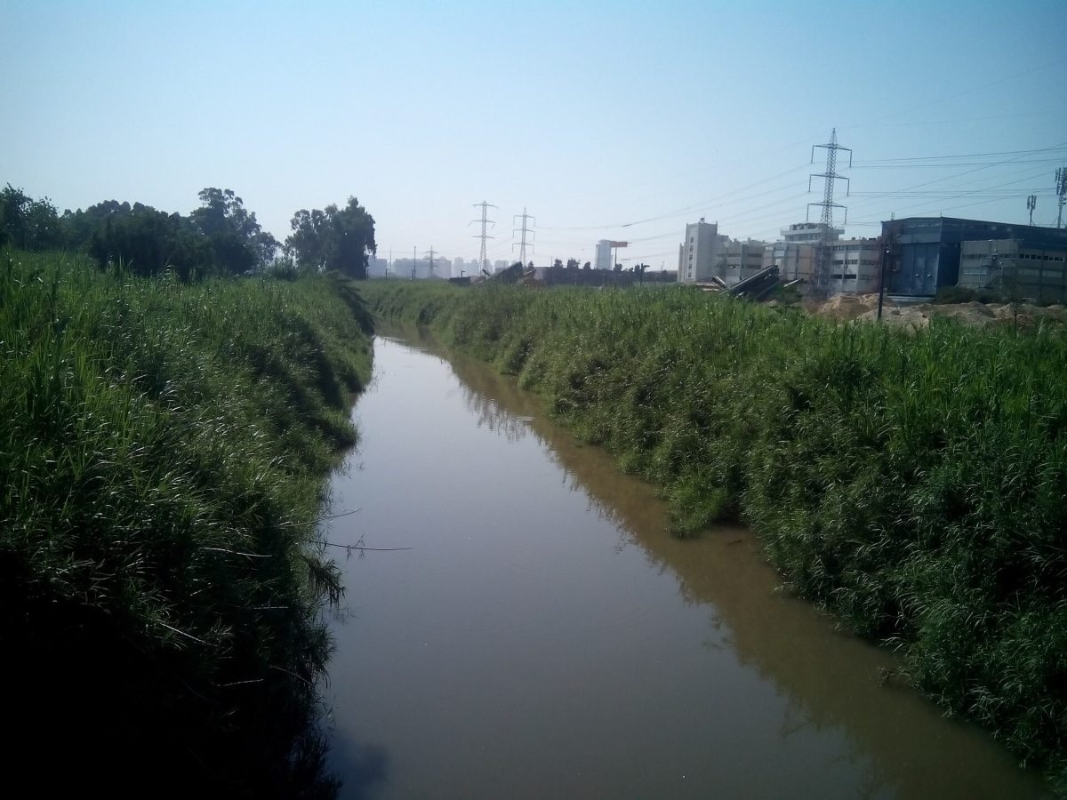 Yarkon Park