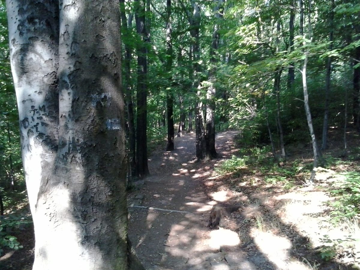 Słowacki Park