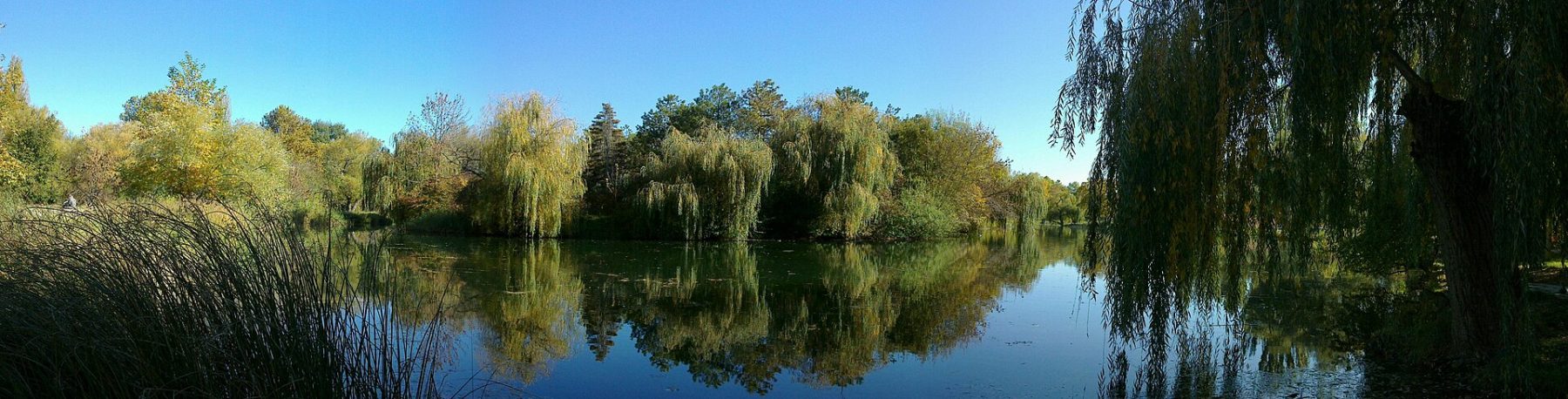 Gagarin Park