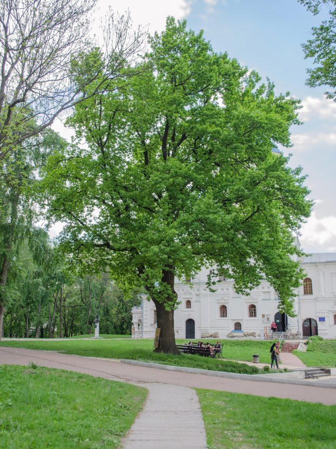 Парк культуры и отдыха имени М.М. Коцюбинского