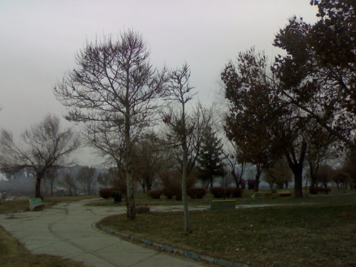 Melli Negede Park