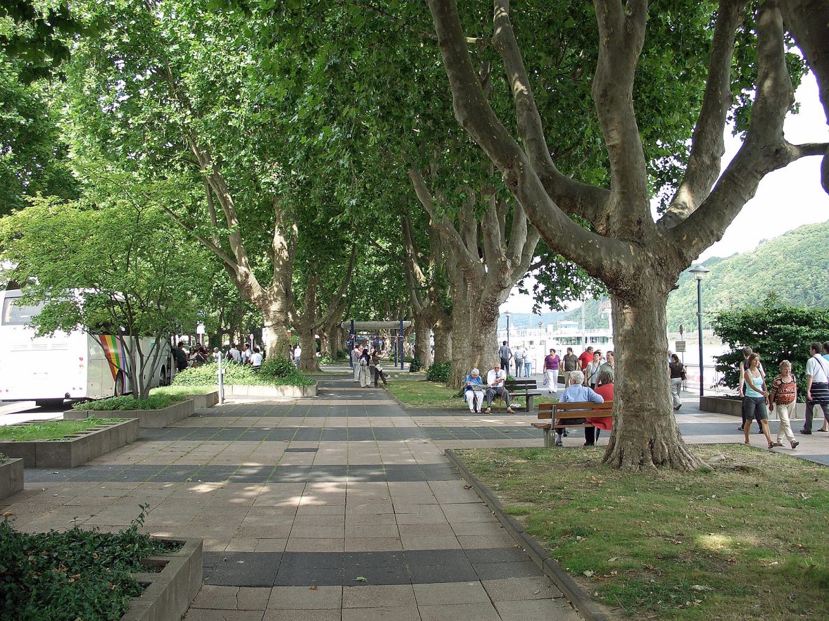 Reinanalgen Park