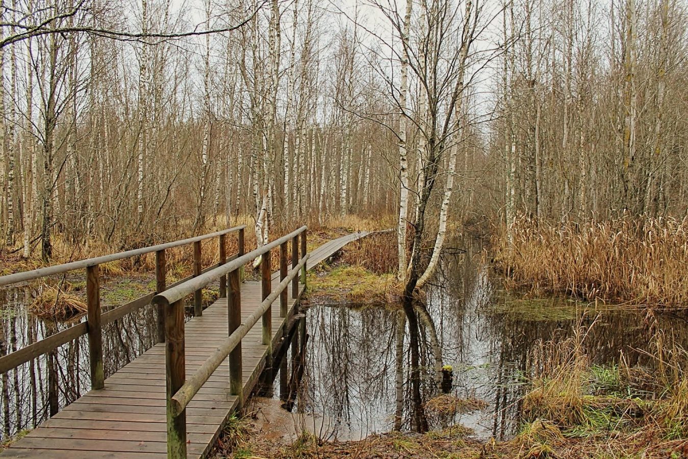 Vabaduse Park